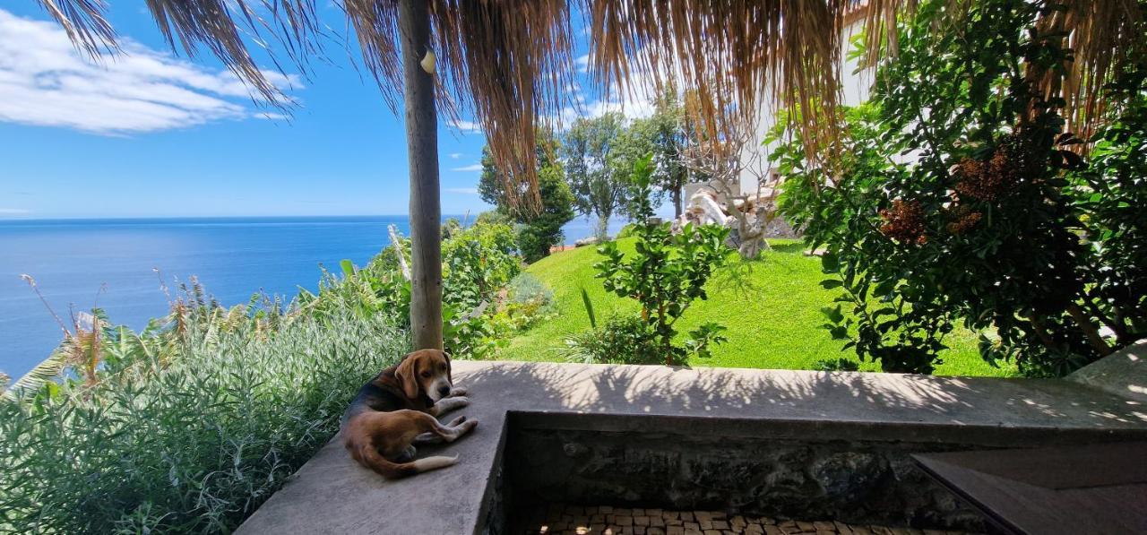 Torre Bella Gardens Villa Arco da Calheta  Exteriör bild