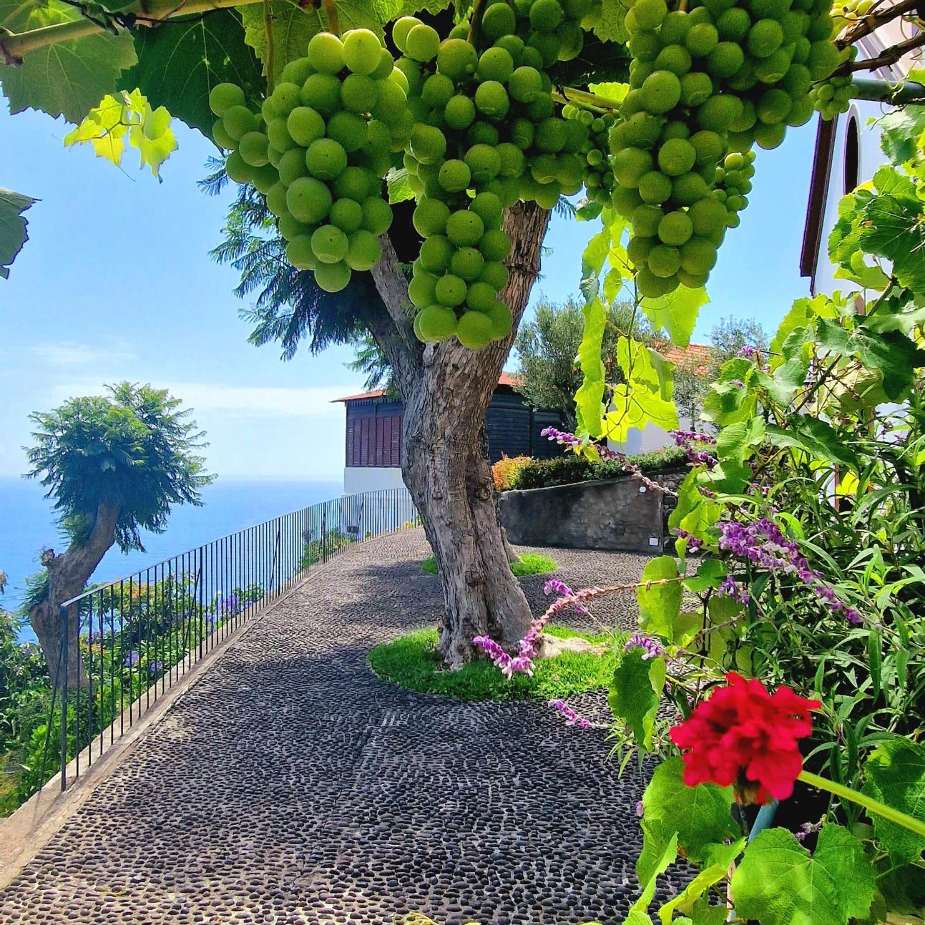 Torre Bella Gardens Villa Arco da Calheta  Exteriör bild