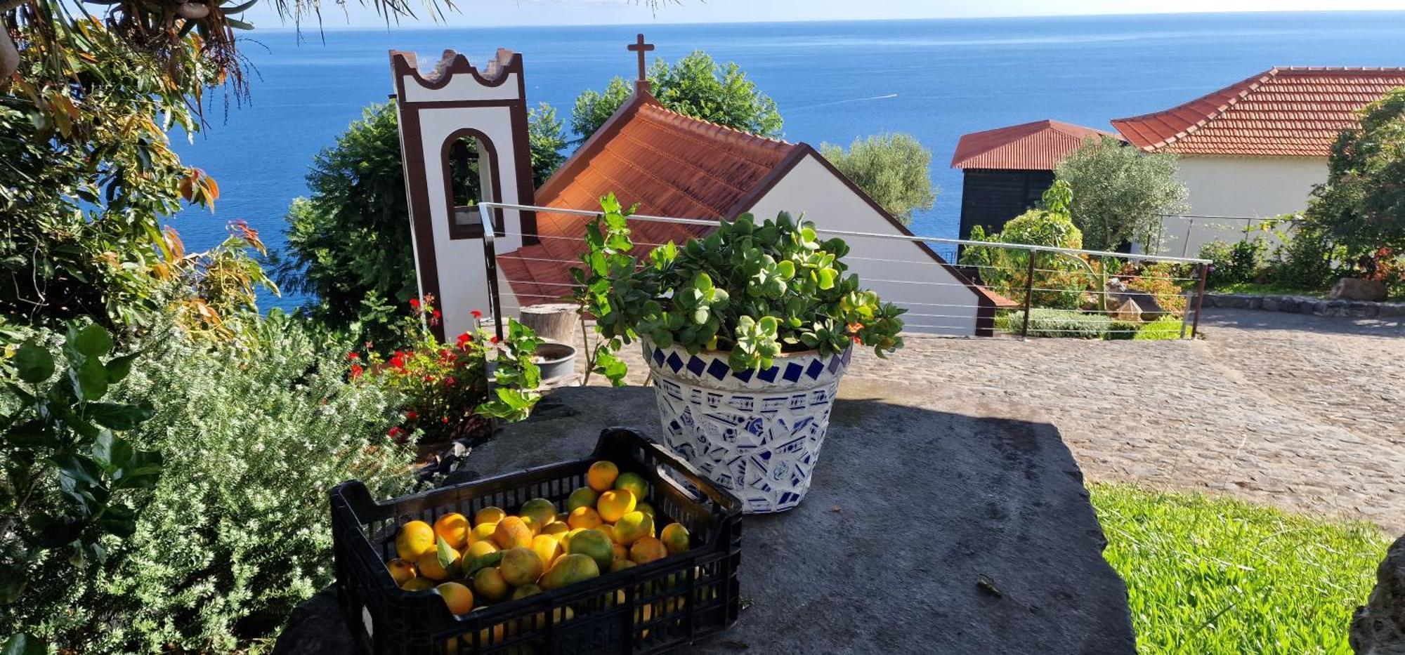 Torre Bella Gardens Villa Arco da Calheta  Exteriör bild